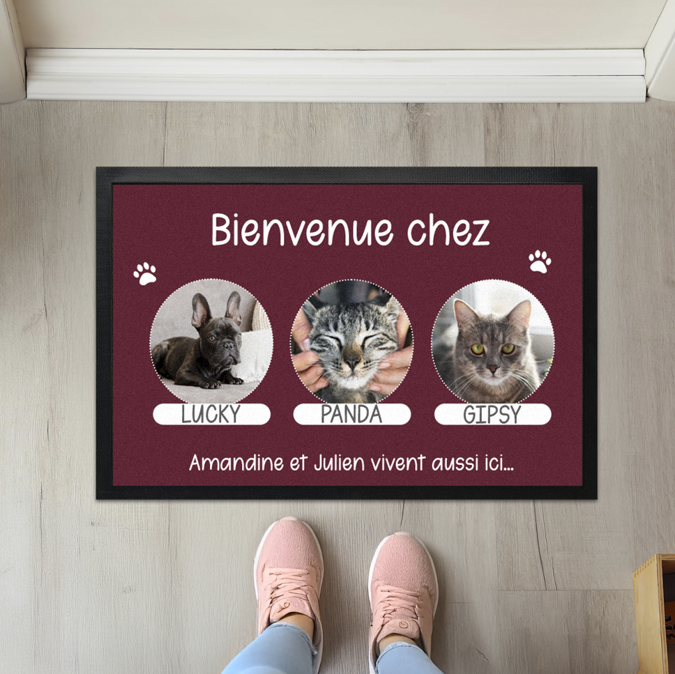 Paillasson personnalisable pour les amoureux des animaux – Tapis d'entrée unique avec image de votre chien, chat ou autre compagnon, idéal pour une déco personnalisée et chaleureuse.
