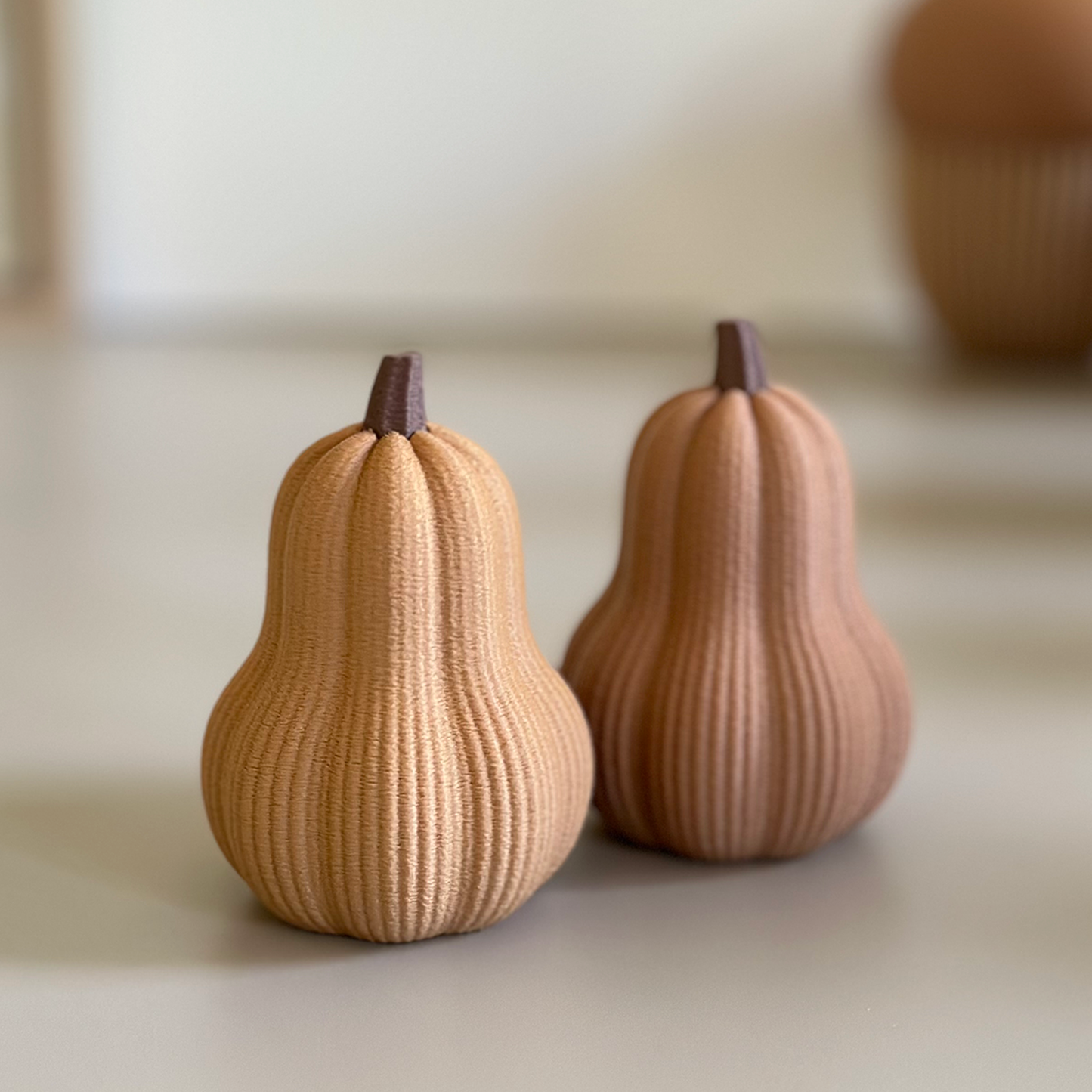 Courge décorative d’automne – Petite ou grande courge 3D