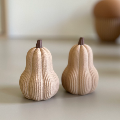 Courge décorative d’automne – Petite ou grande courge 3D