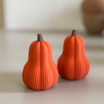 Courge décorative d’automne – Petite ou grande courge 3D